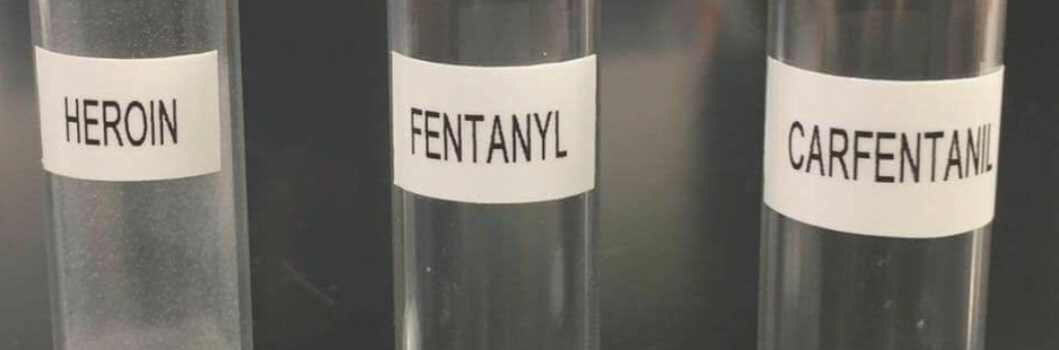 What Is Carfentanil And Why Is It Dangerous?