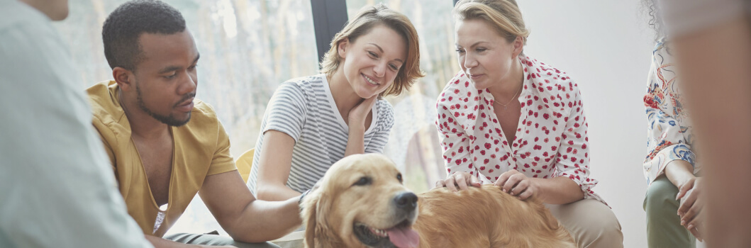 The Scoop On Animal-Assisted Addiction Therapy