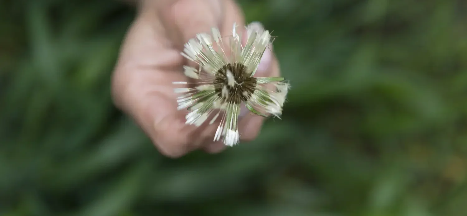 Why Is Heroin So Addictive