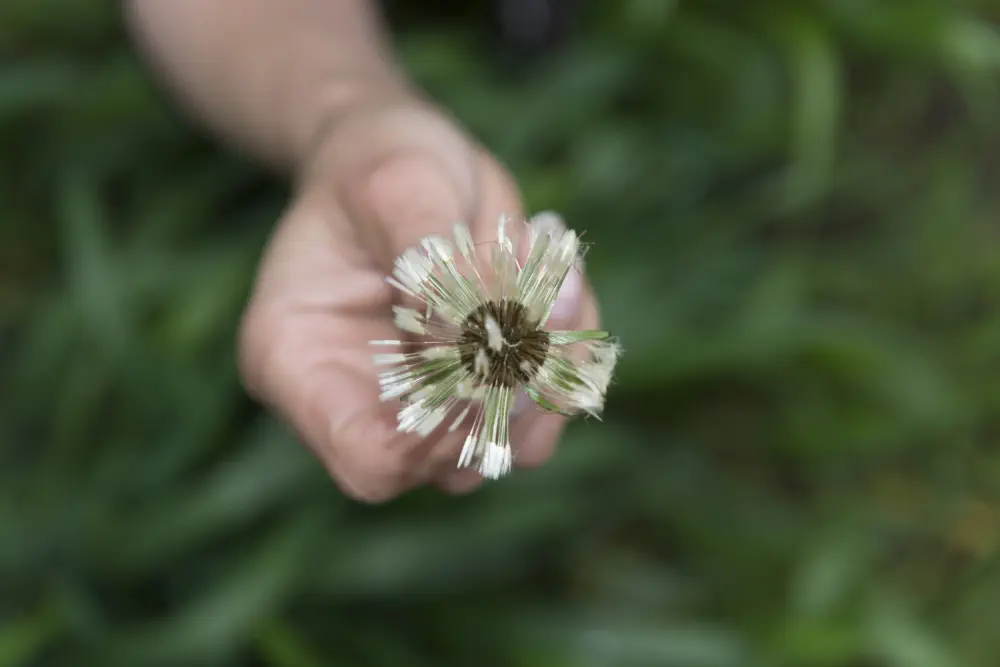 Why Is Heroin So Addictive?