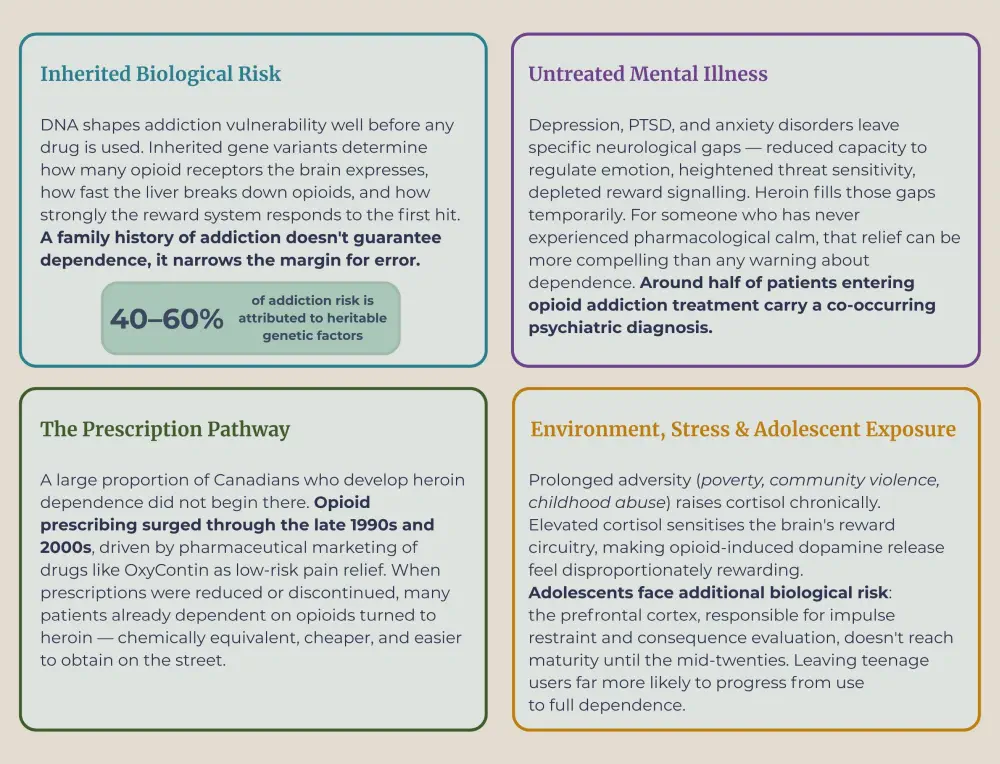 Why Is Heroin So Addictive?