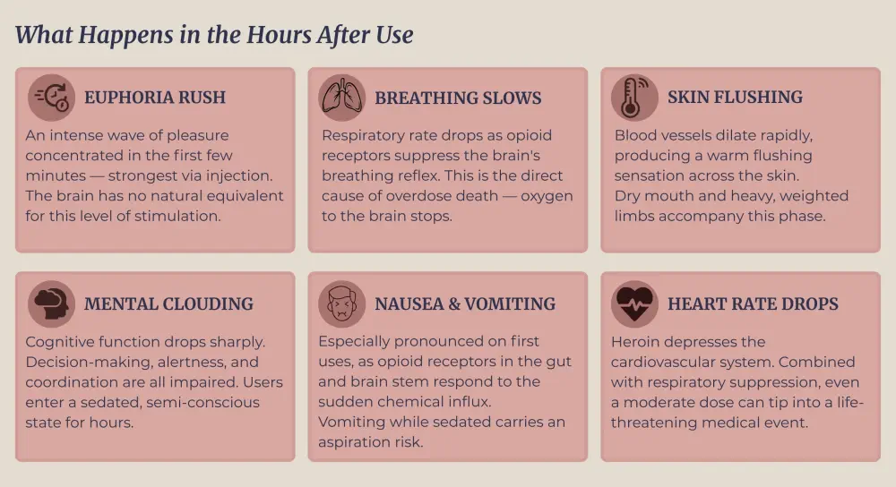 Why Is Heroin So Addictive?