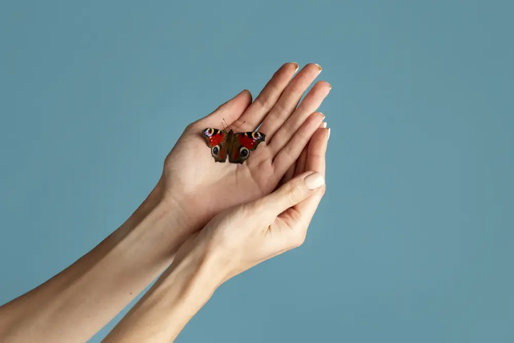 butterfly in hand