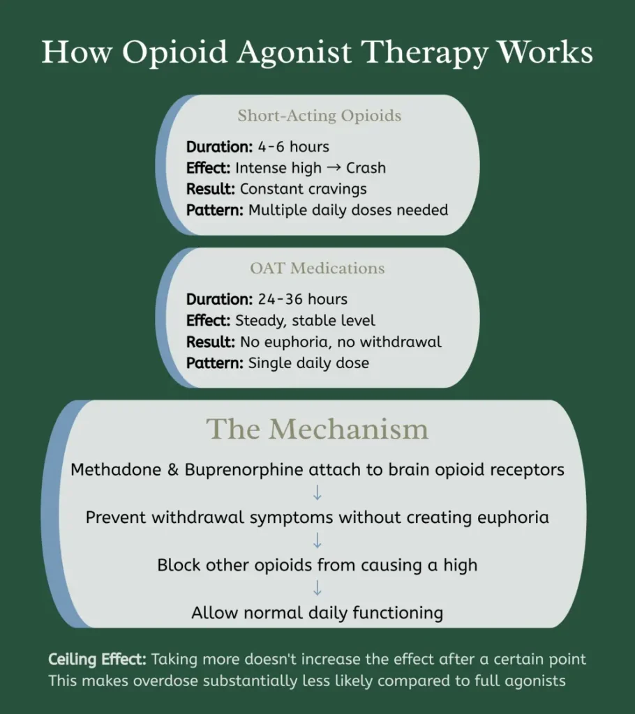 how opioid agonist therapy works