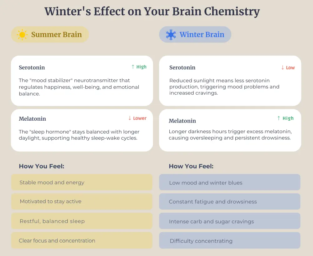 Brain chemistry infographic.