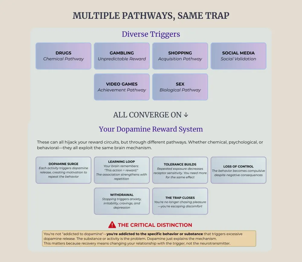 Different triggers hijacking the same brain reward mechanism.