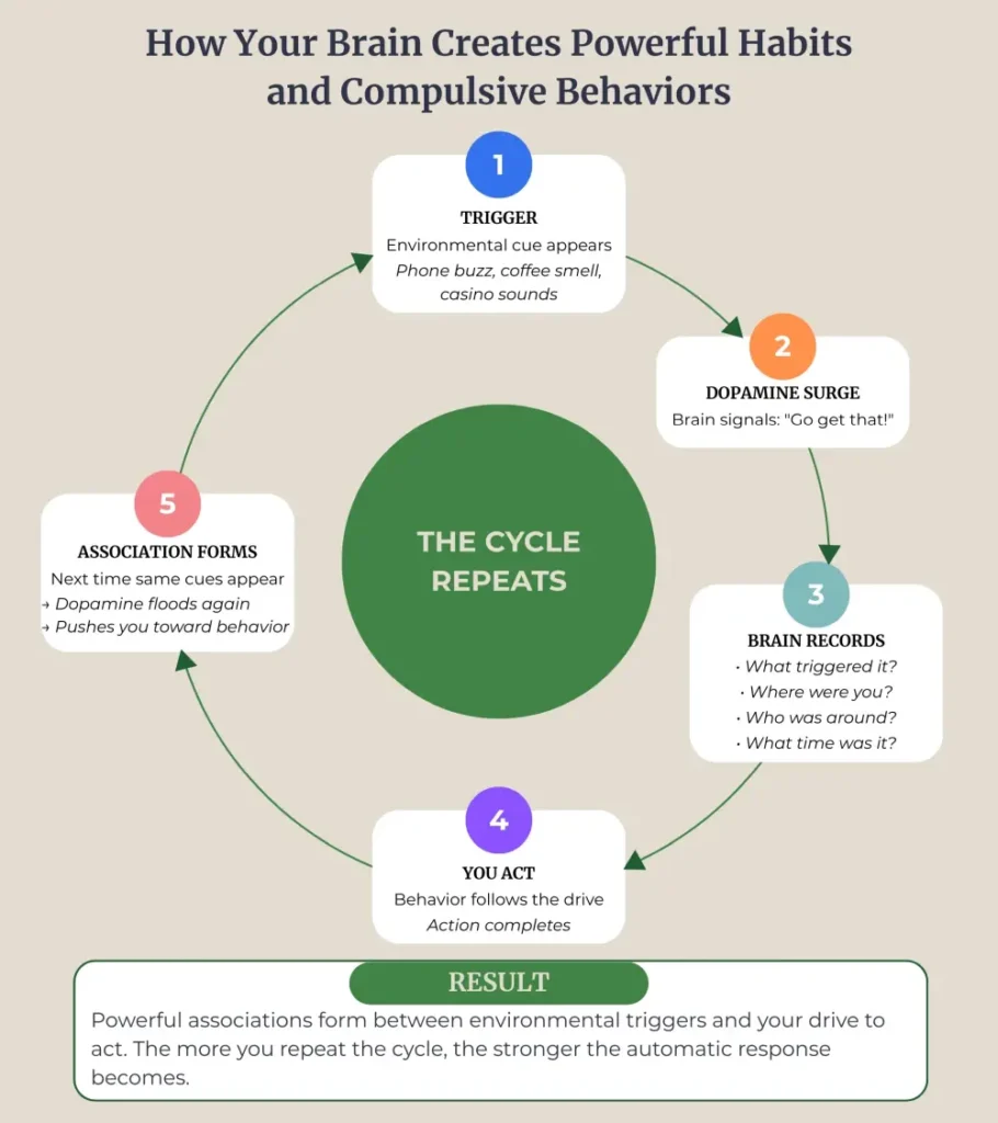 The five-step cycle of compulsive behavior.