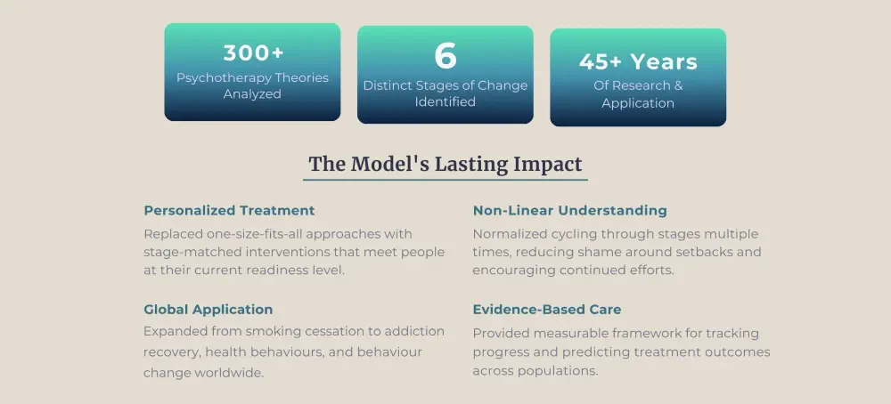  Infographic of the model’s history and global impact.