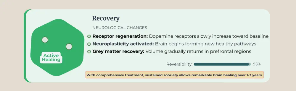 Active healing, neuroplasticity, and receptor regeneration.