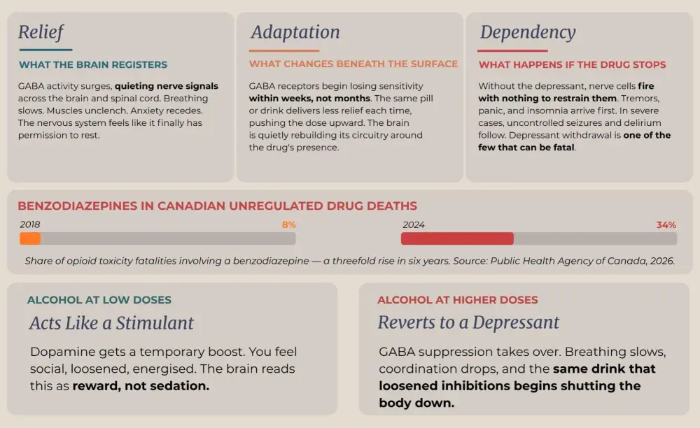 Types of depressants