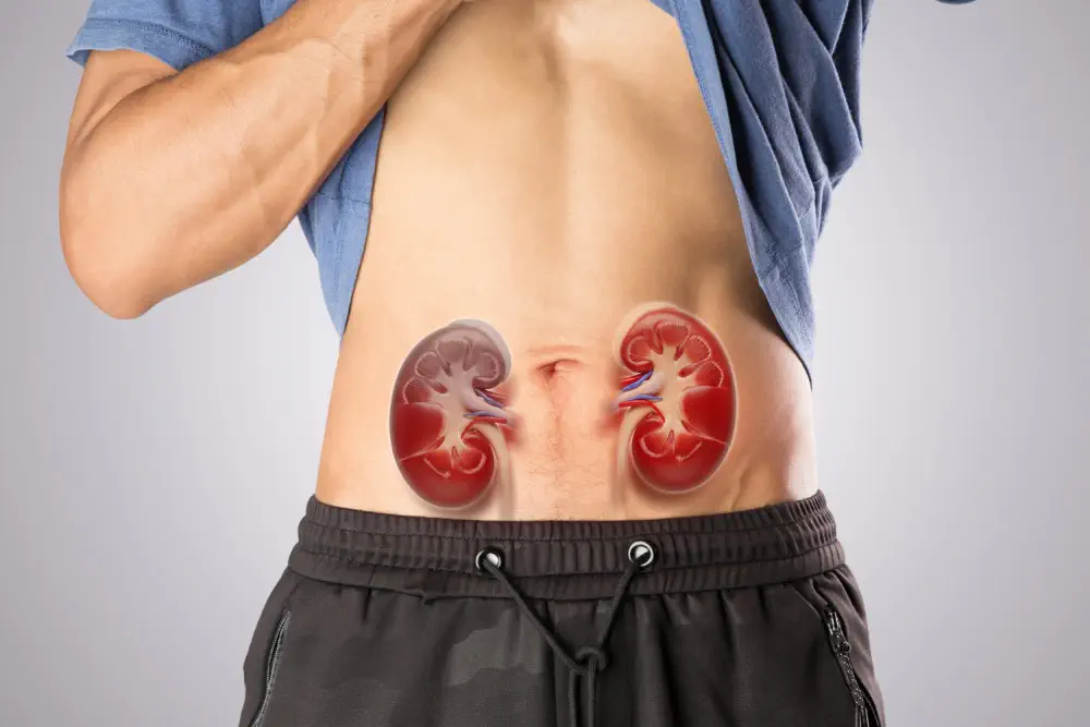Alcohol and kidneys
