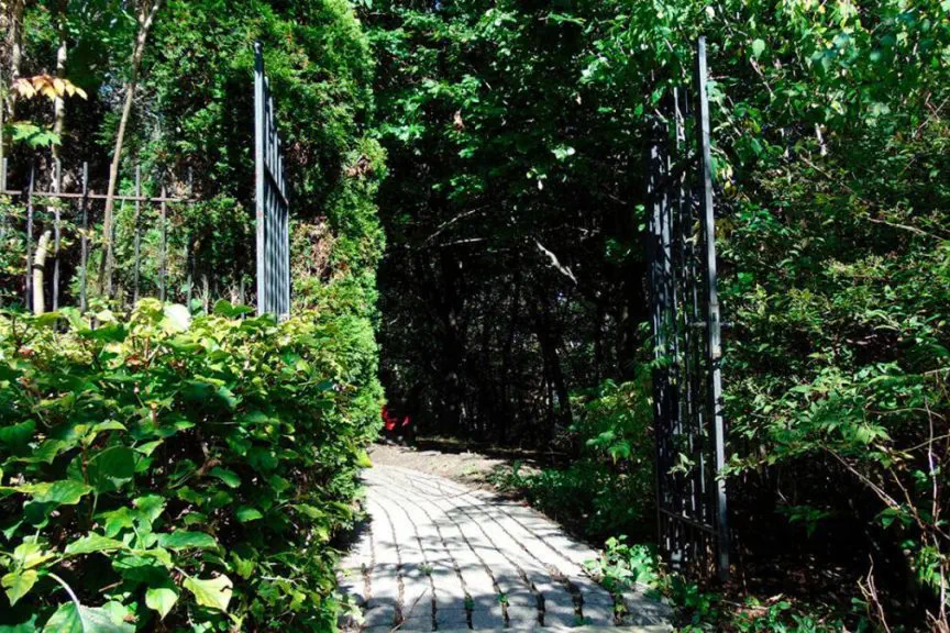 canadian centre for addictions