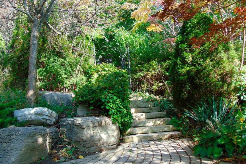 canadian centre for addictions