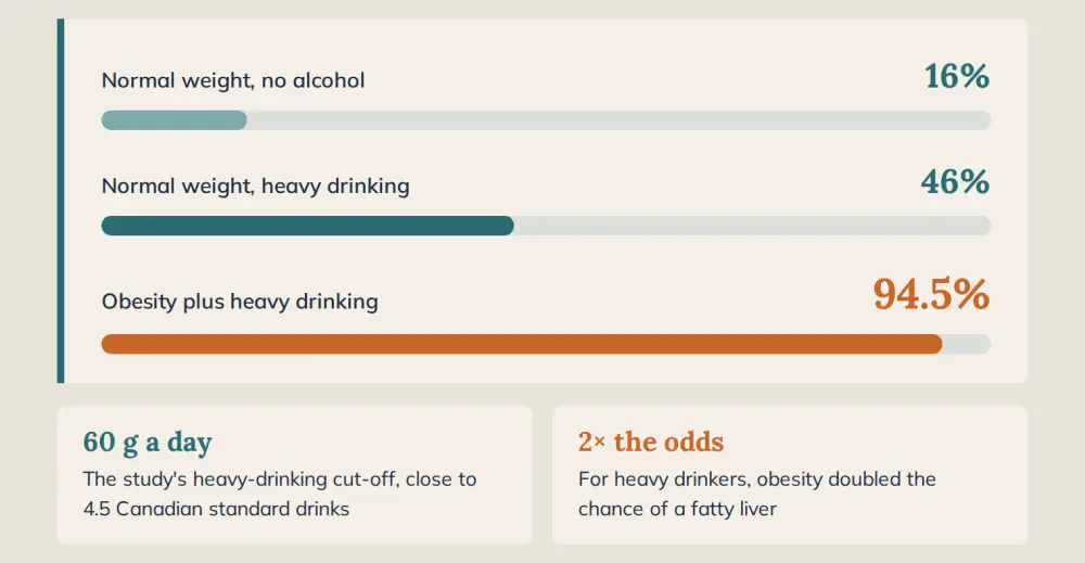 Alcohol liver fat